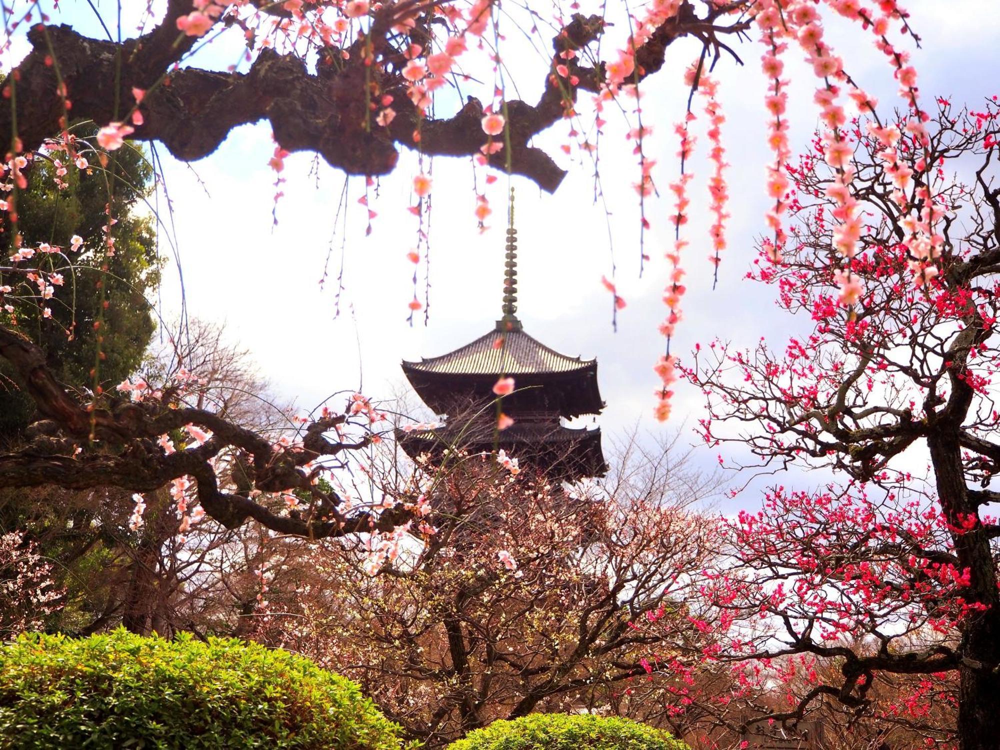 Stay Sakura Kyoto Higashi Hongan-Ji I Bagian luar foto