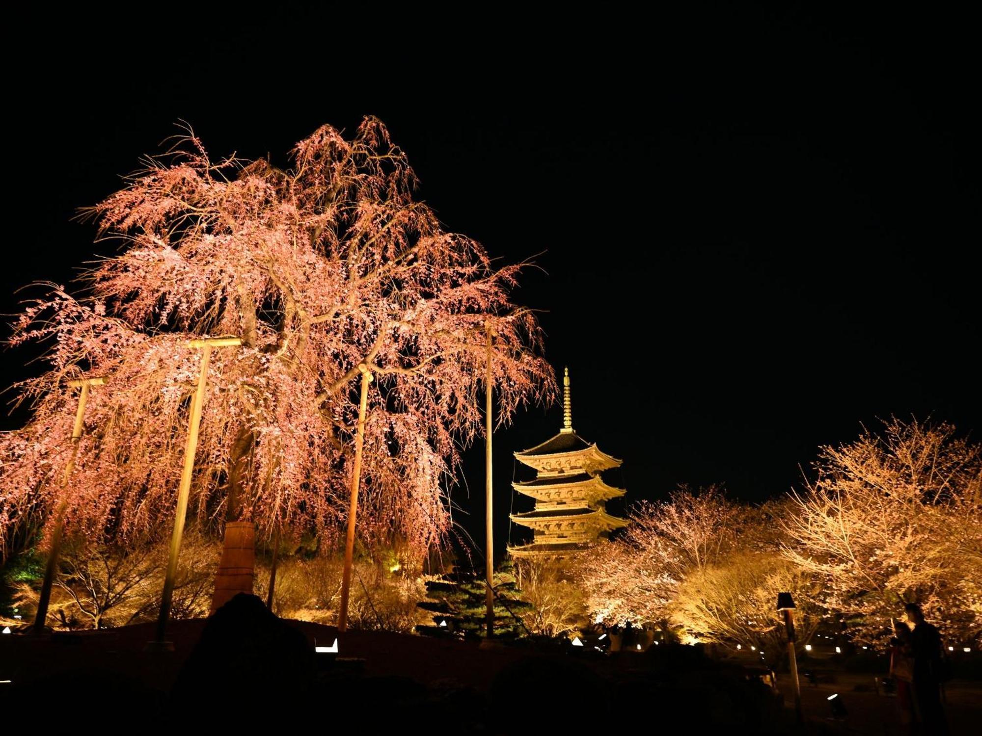 Stay Sakura Kyoto Higashi Hongan-Ji I Bagian luar foto