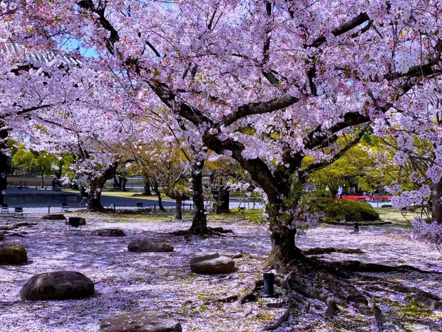 Stay Sakura Kyoto Higashi Hongan-Ji I Bagian luar foto